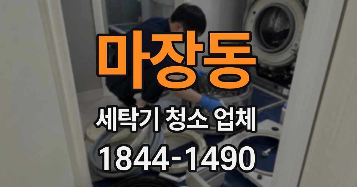 마장동 세탁기 청소 업체