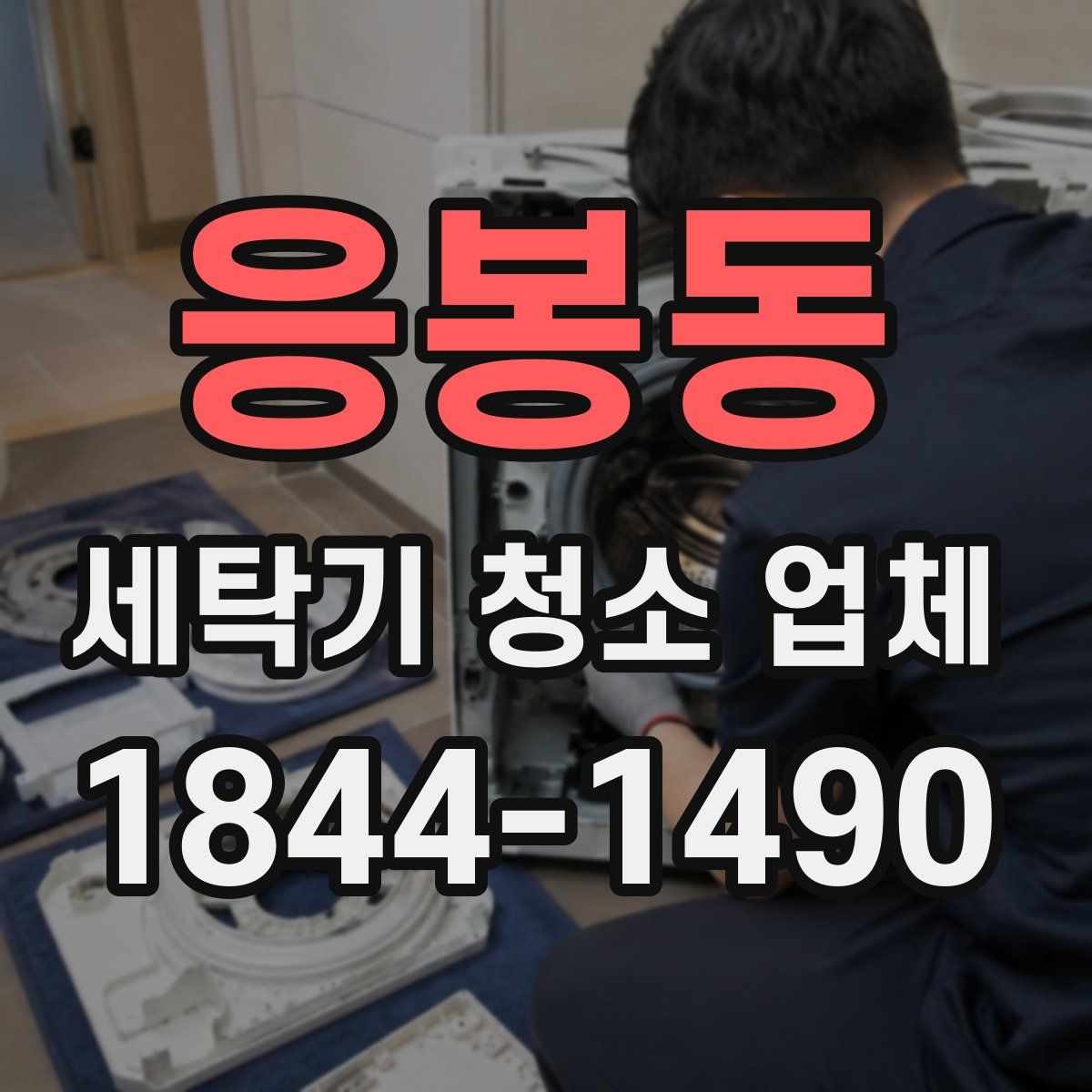 응봉동 세탁기 청소 업체