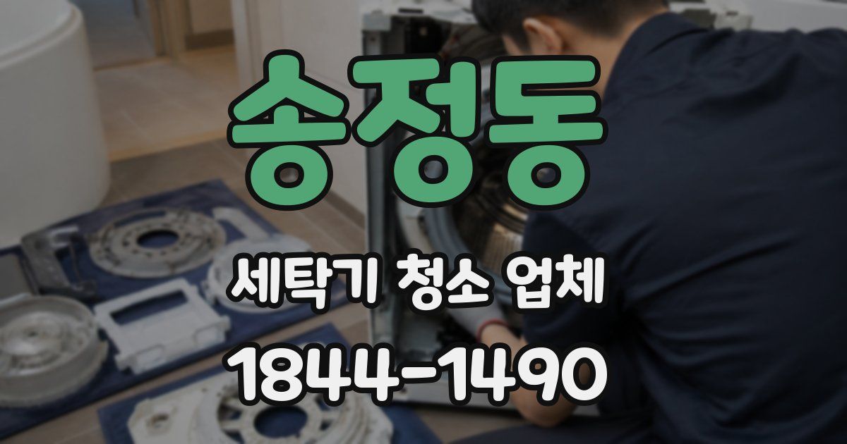 송정동 세탁기 청소 업체
