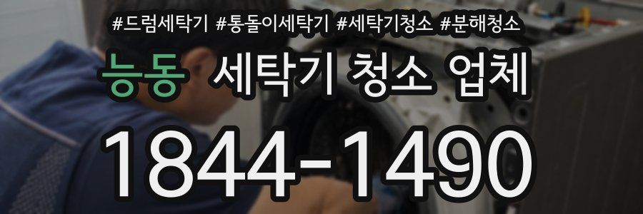 능동 세탁기 청소 업체