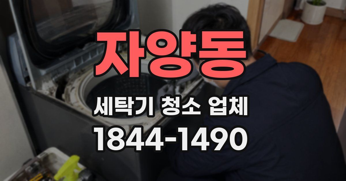 자양동 세탁기 청소 업체
