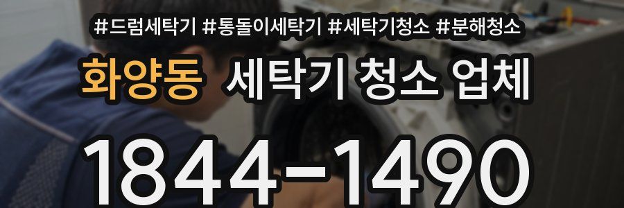 화양동 세탁기 청소 업체