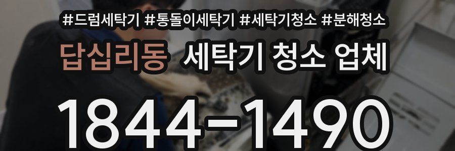 답십리동 세탁기 청소 업체