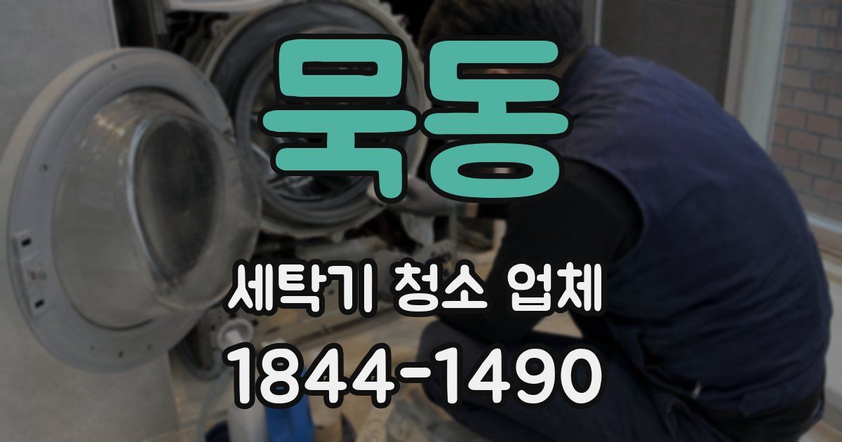 묵동 세탁기 청소 업체