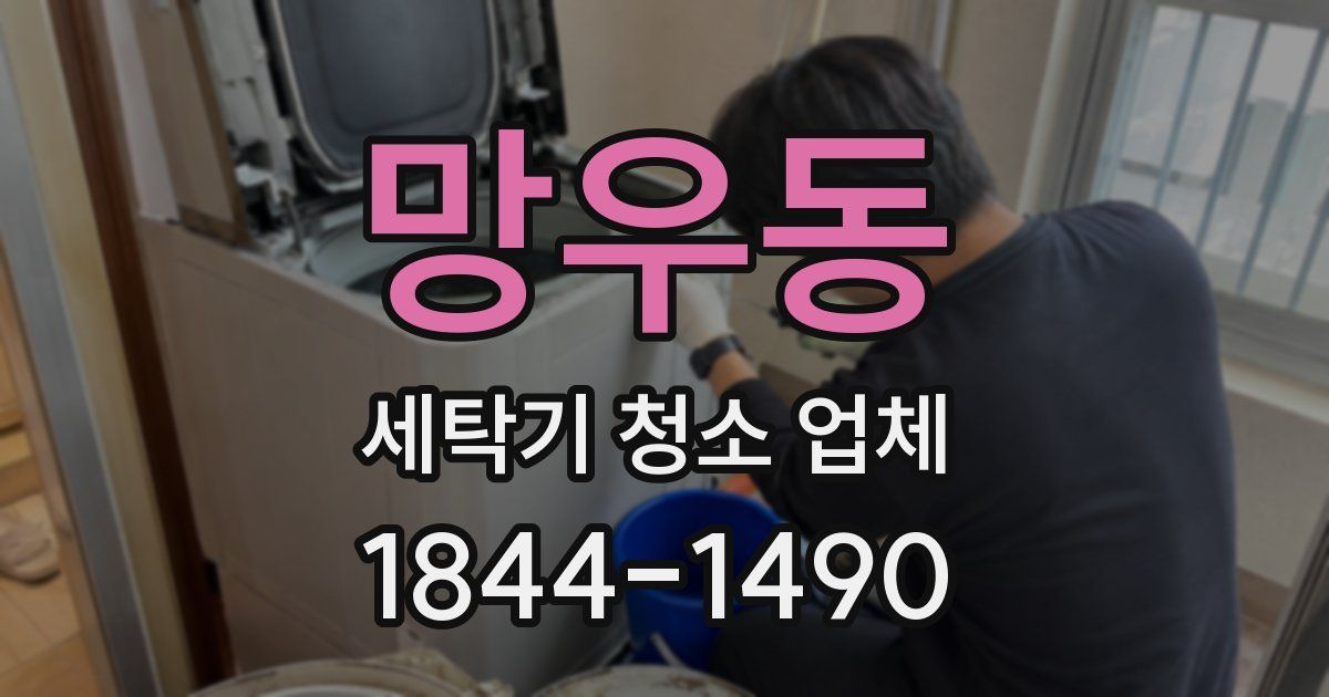 망우동 세탁기 청소 업체