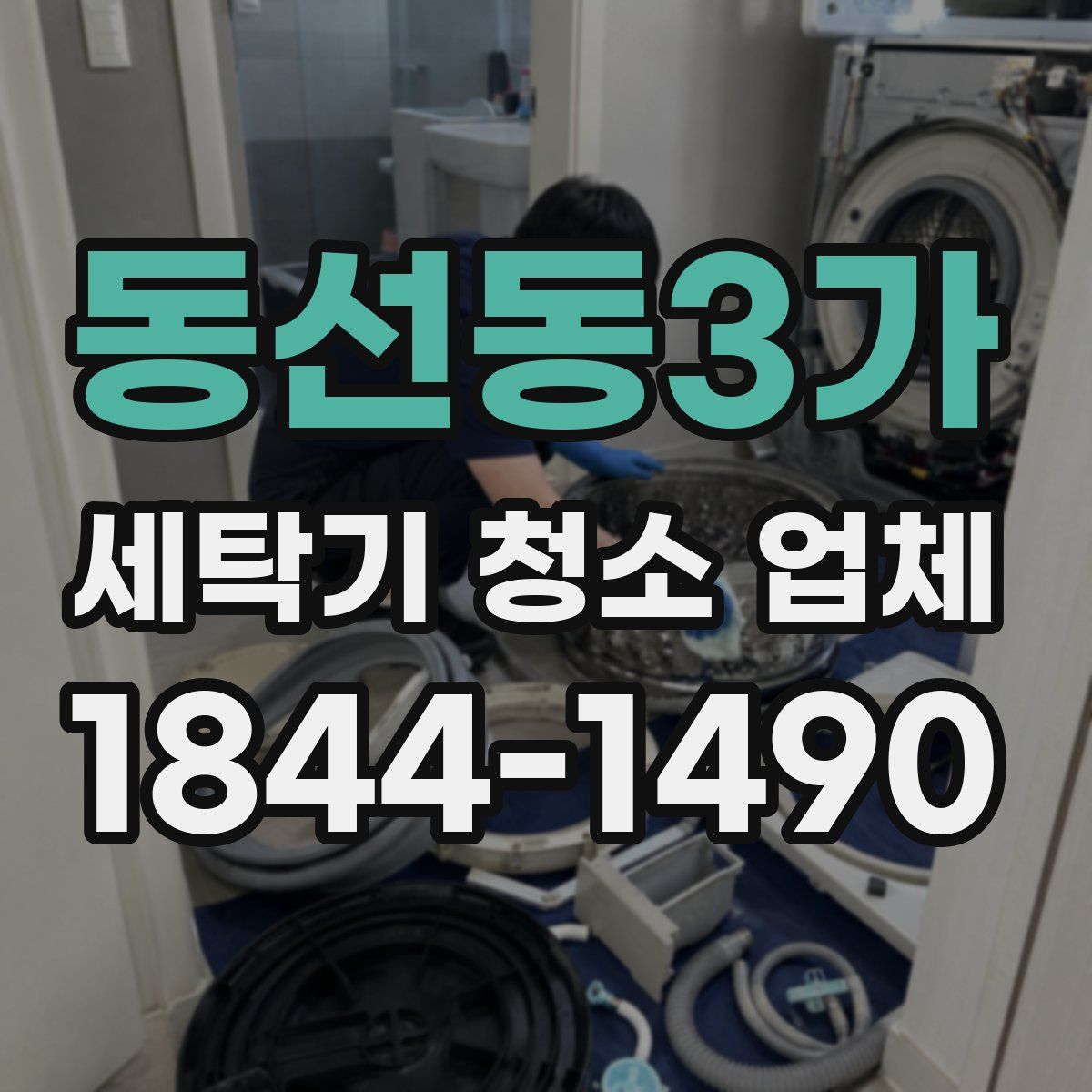 동선동3가 세탁기 청소 업체