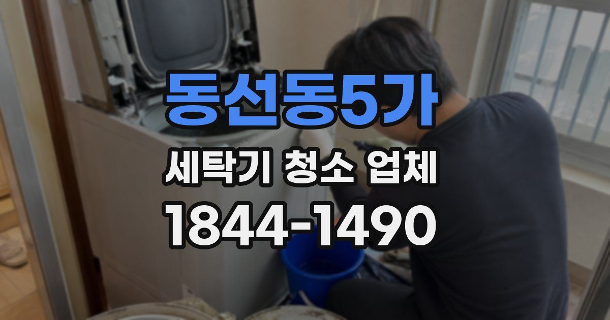 동선동5가 세탁기 청소 업체
