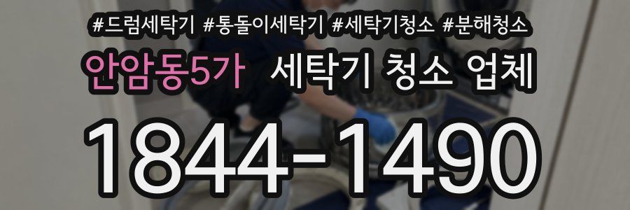 안암동5가 세탁기 청소 업체