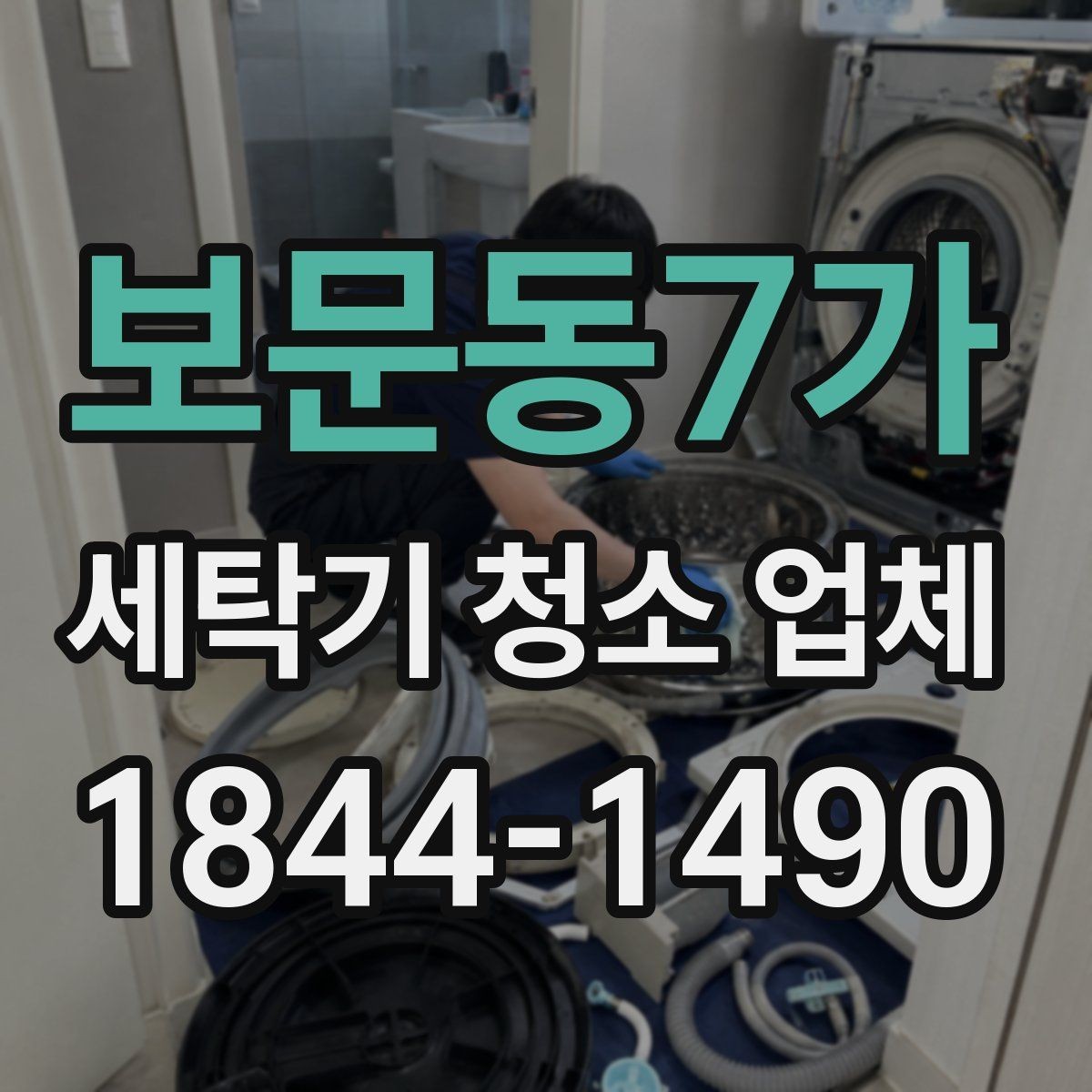 보문동7가 세탁기 청소 업체 작업 범위와 포함 구성 정리