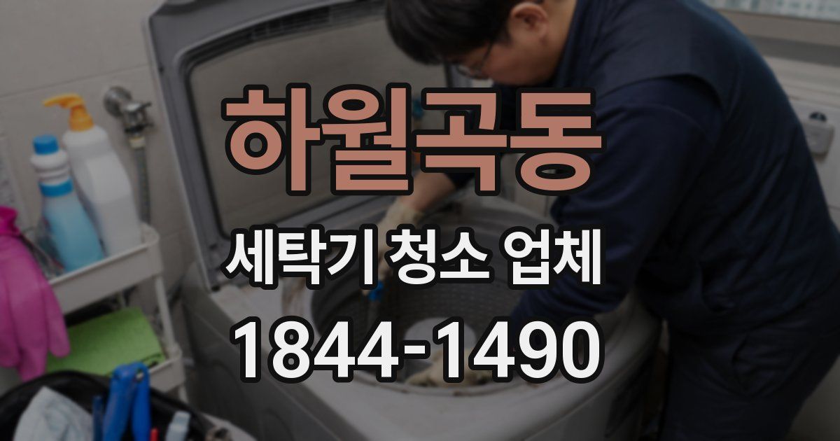 하월곡동 세탁기 청소 업체