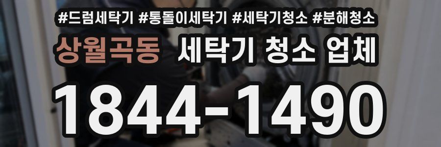 상월곡동 세탁기 청소 업체