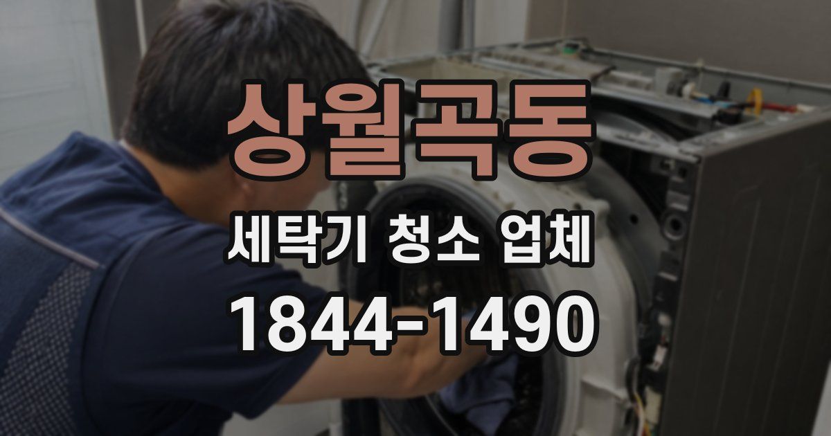 상월곡동 세탁기 청소 업체