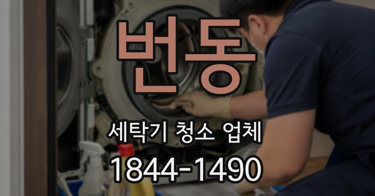 번동 세탁기 청소 업체