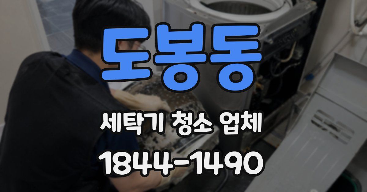 도봉동 세탁기 청소 업체