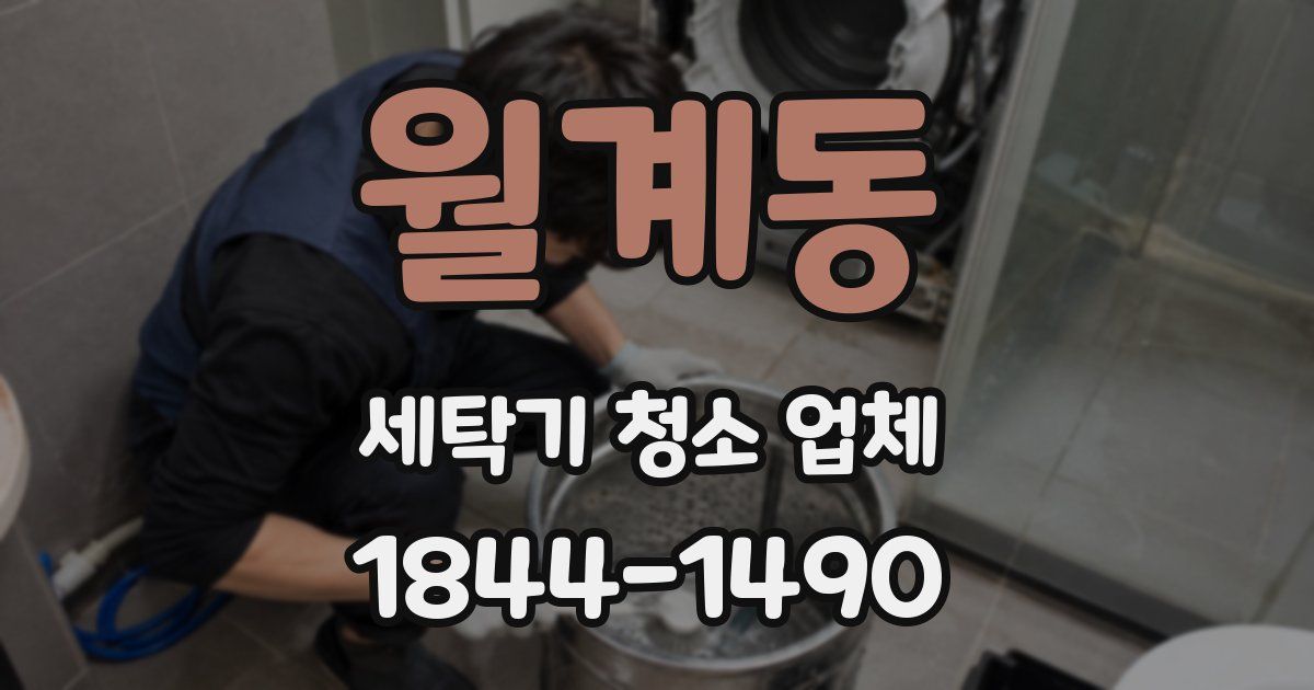 월계동 세탁기 청소 업체