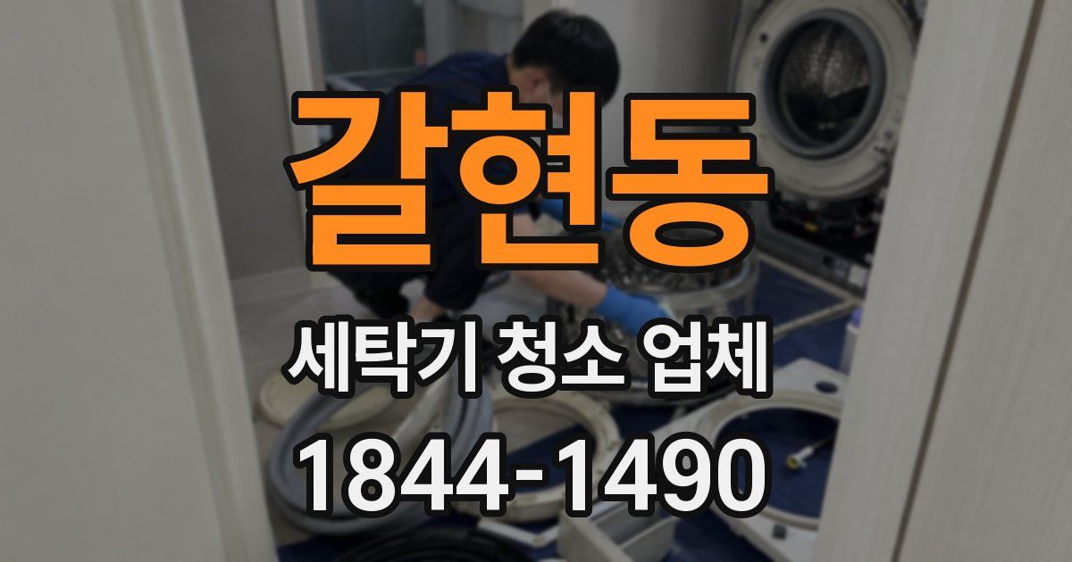 갈현동 세탁기 청소 업체