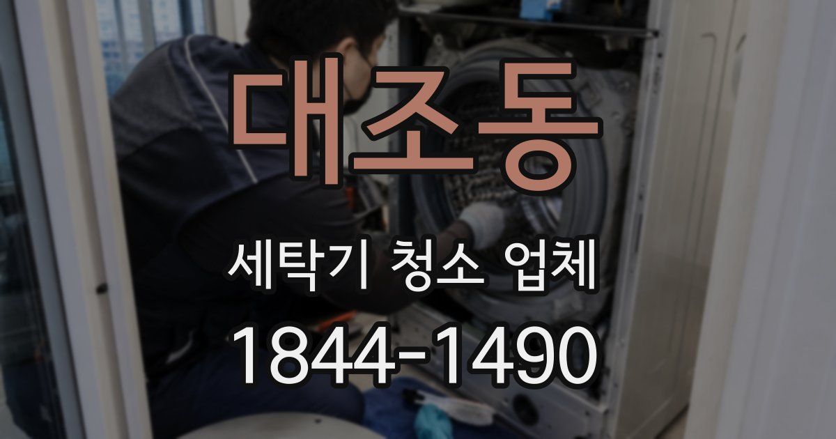 대조동 세탁기 청소 업체