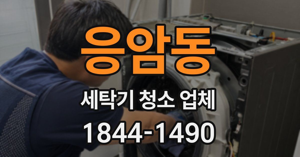 응암동 세탁기 청소 업체