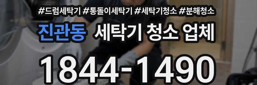 진관동 세탁기 청소 업체