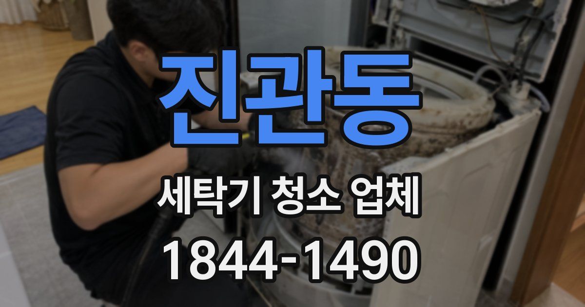 진관동 세탁기 청소 업체