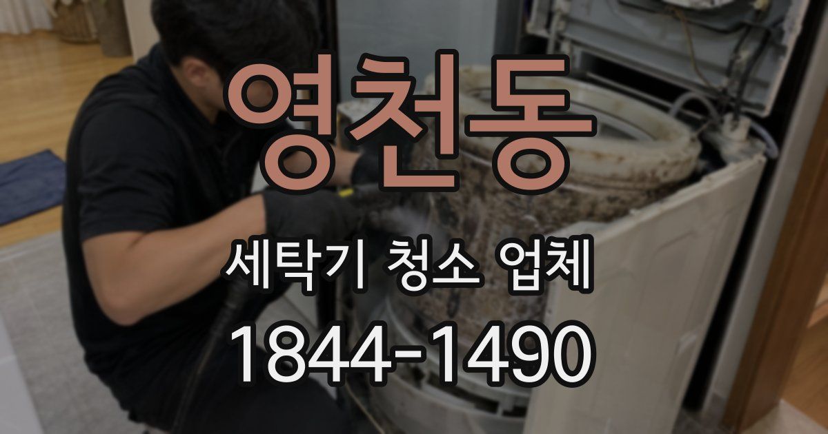 영천동 세탁기 청소 업체