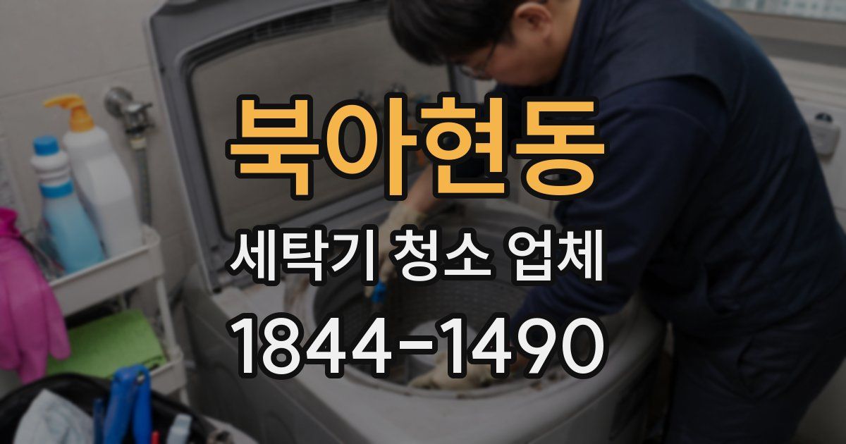 북아현동 세탁기 청소 업체