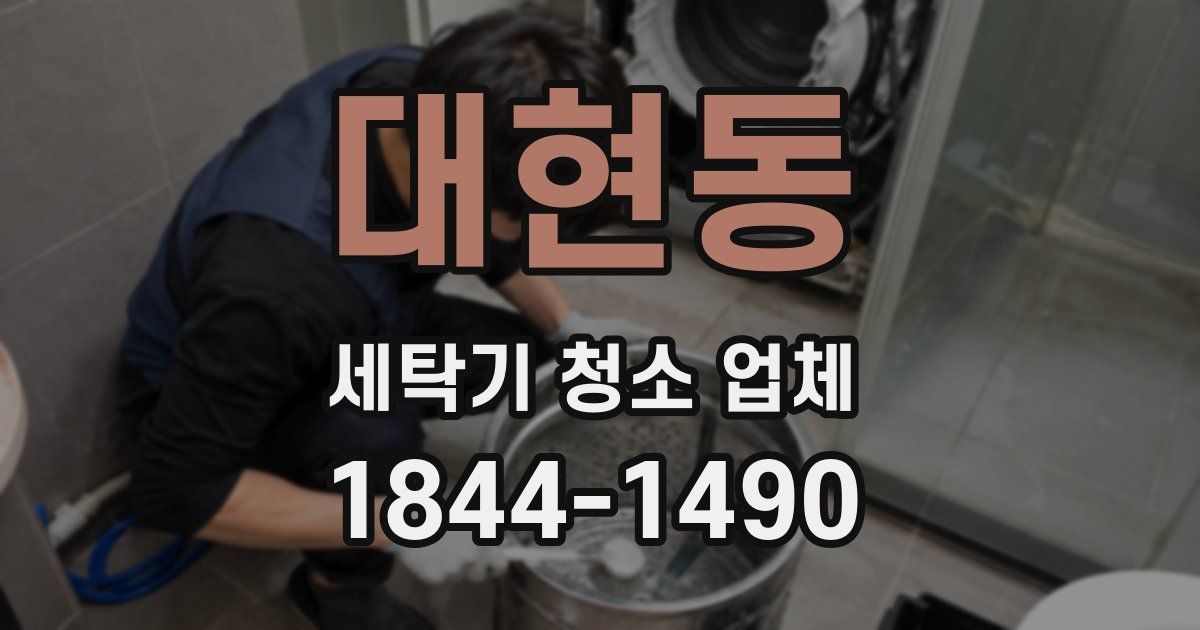 대현동 세탁기 청소 업체