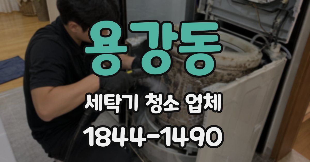 용강동 세탁기 청소 업체