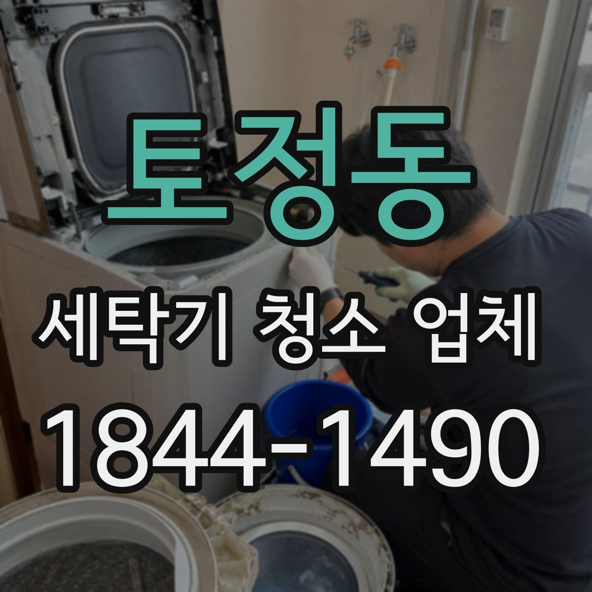 토정동 세탁기 청소 업체