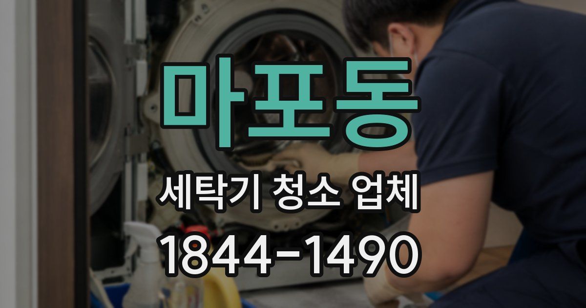마포동 세탁기 청소 업체