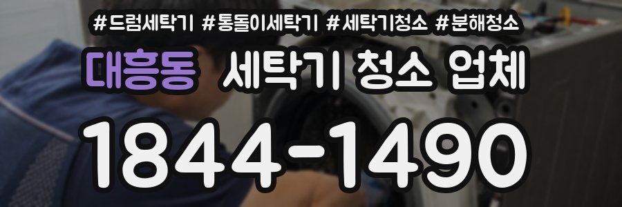 대흥동 세탁기 청소 업체