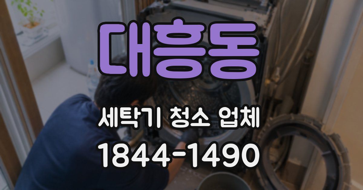 대흥동 세탁기 청소 업체