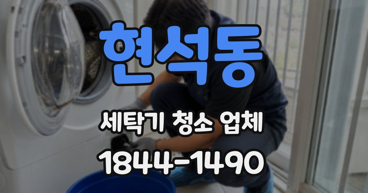 현석동 세탁기 청소 업체