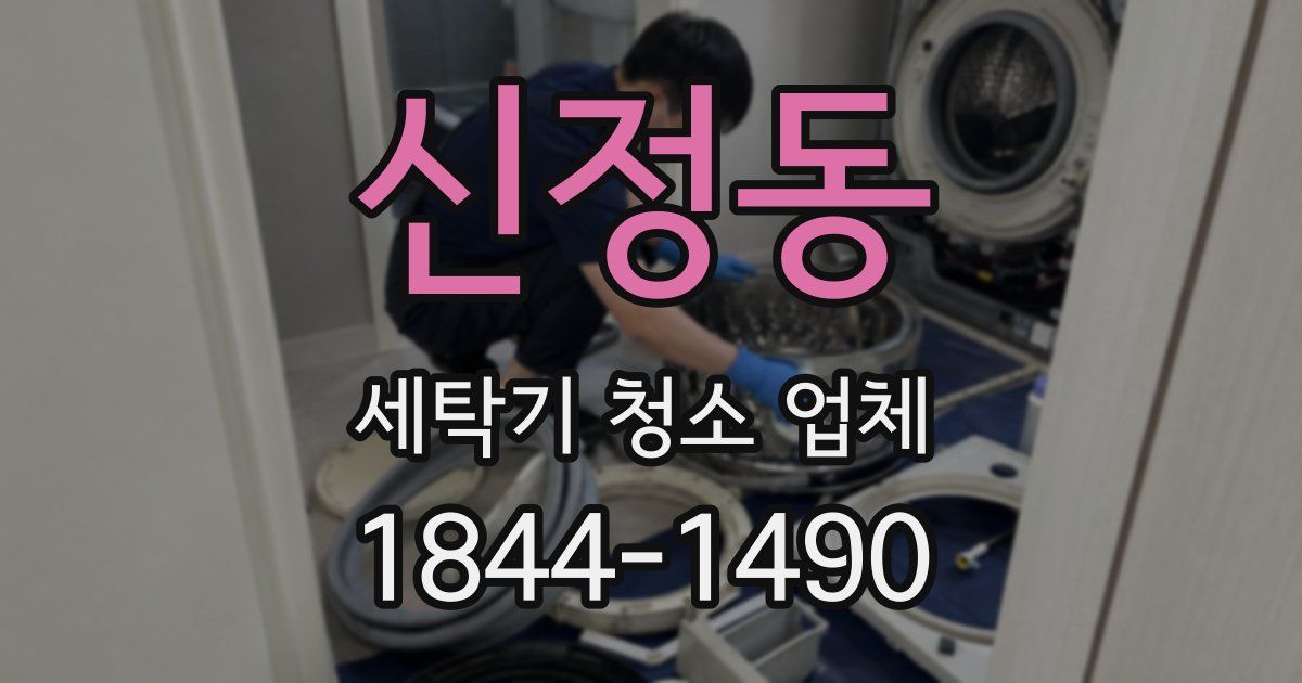 신정동 세탁기 청소 업체