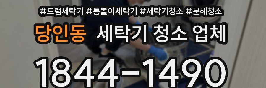 당인동 세탁기 청소 업체