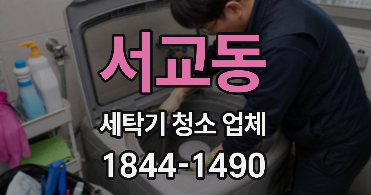 서교동 세탁기 청소 업체