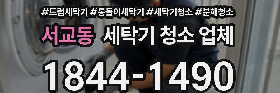 서교동 세탁기 청소 업체