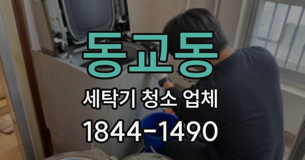 동교동 세탁기 청소 업체