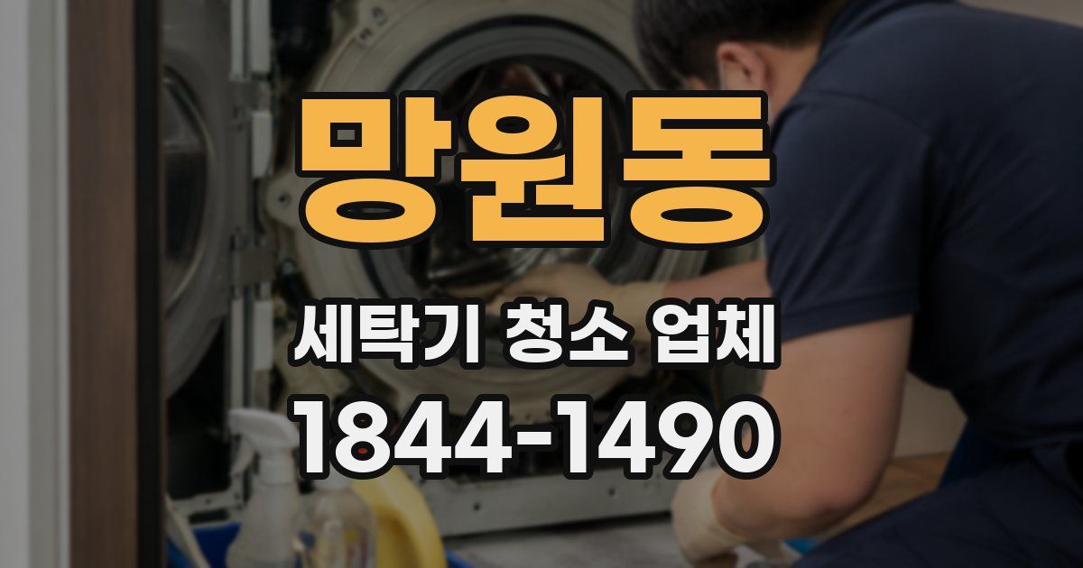 망원동 세탁기 청소 업체