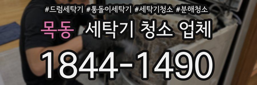 목동 세탁기 청소 업체