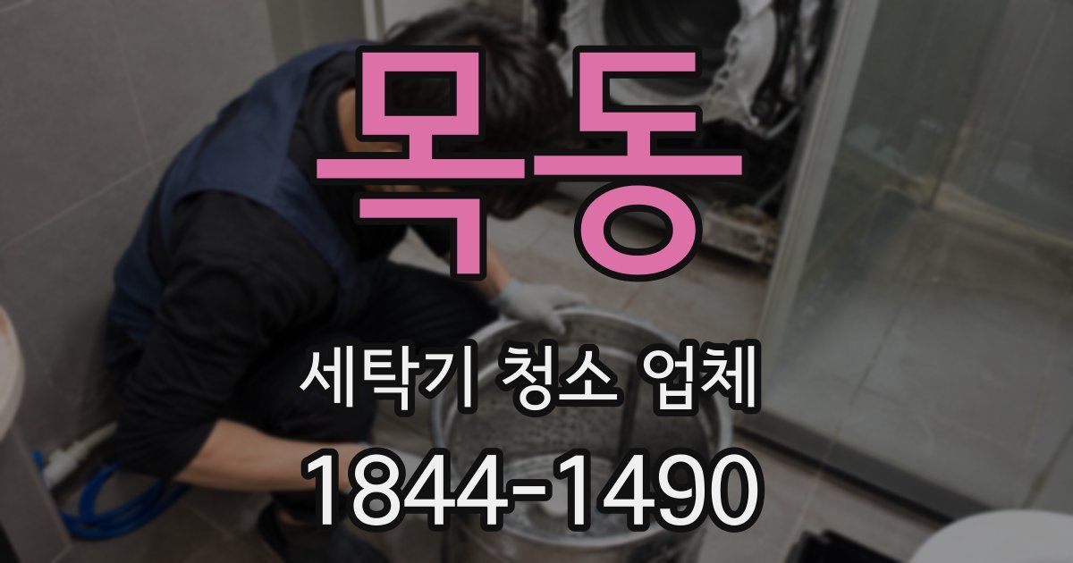 목동 세탁기 청소 업체