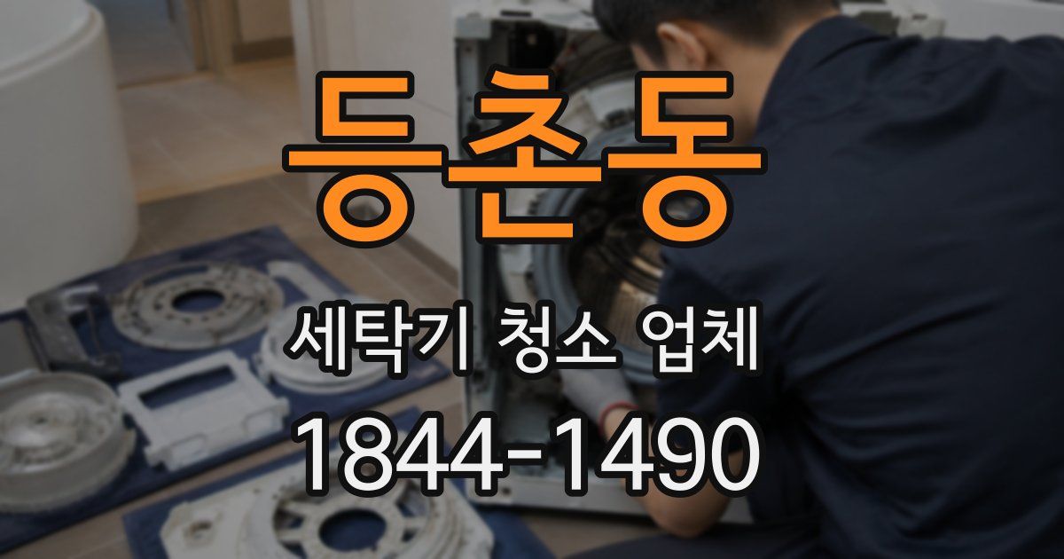 등촌동 세탁기 청소 업체
