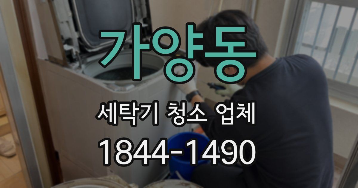 가양동 세탁기 청소 업체
