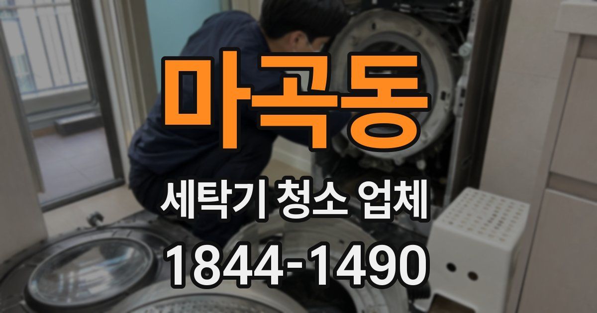 마곡동 세탁기 청소 업체