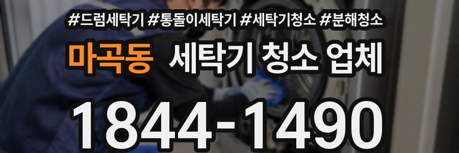 마곡동 세탁기 청소 업체
