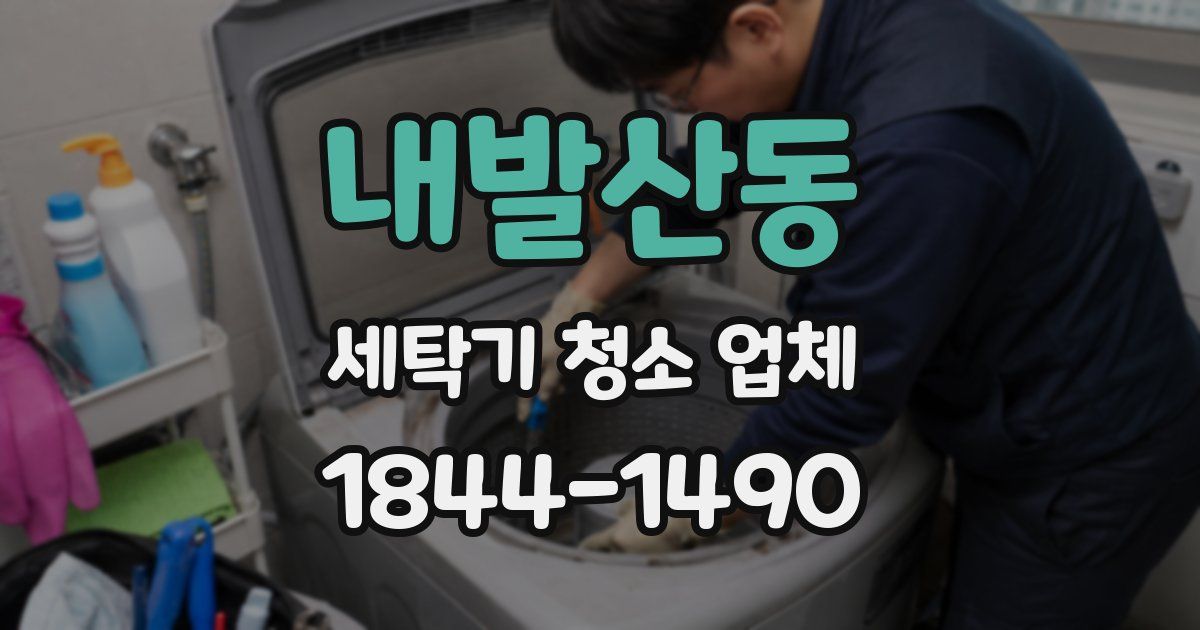 내발산동 세탁기 청소 업체