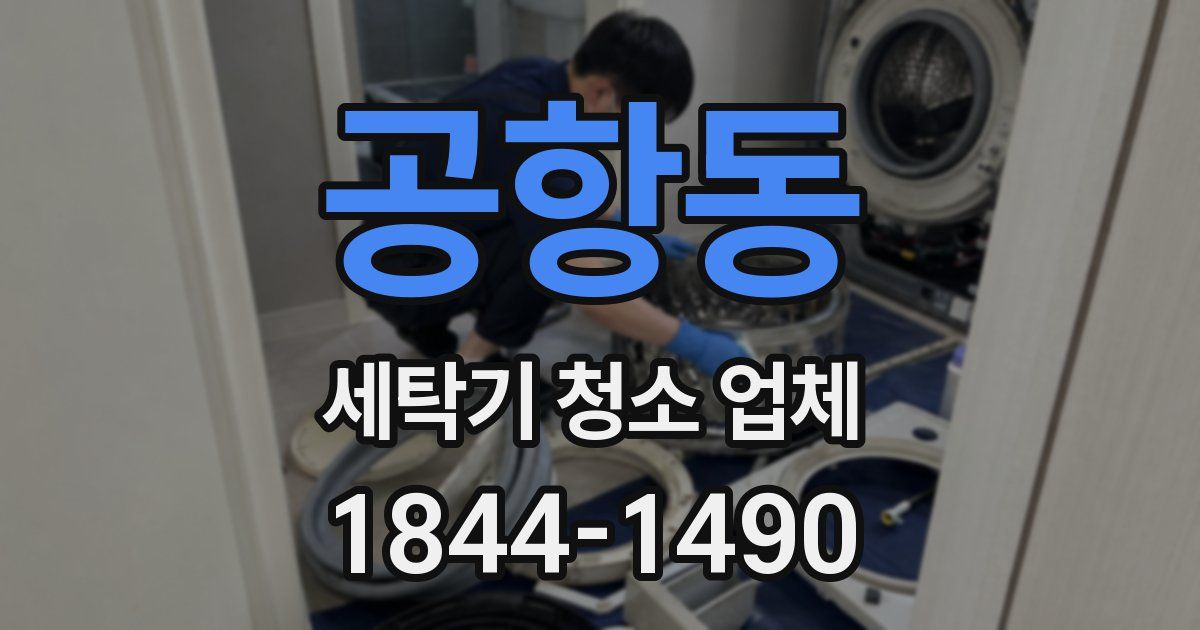 공항동 세탁기 청소 업체