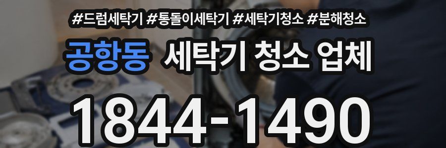 공항동 세탁기 청소 업체