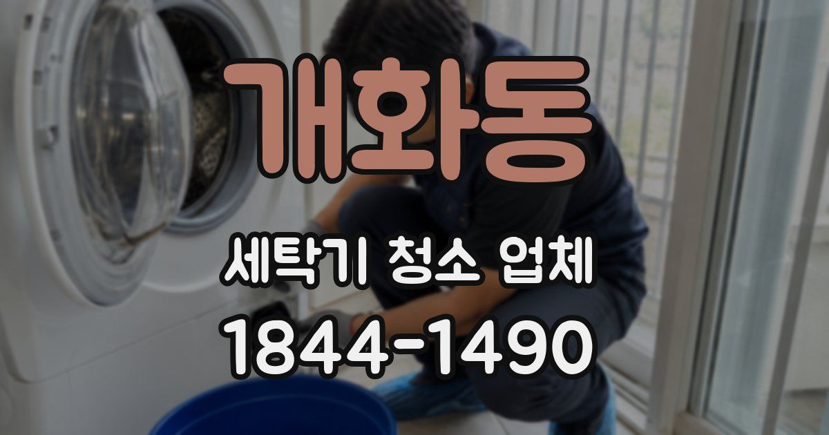 개화동 세탁기 청소 업체
