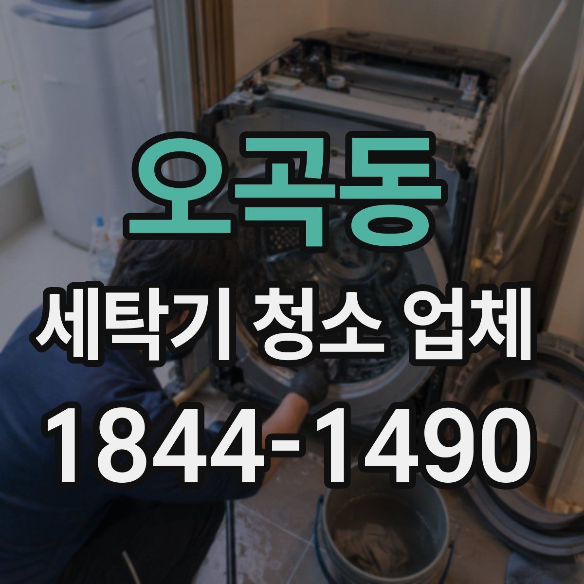 오곡동 세탁기 청소 업체 곰팡이 얼룩이 반복되는 환경 점검